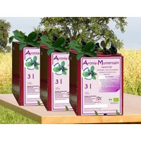 3 X 3L Bio Aroniasaft 2025 Muttersaft Direktsaft Kühnerts-Hofladen Sachsen 3 X 3L Bio Aroniasaft 2025 Muttersaft Direktsaft Kühnerts-Hofladen Sachsen von KuehnertsHofladen