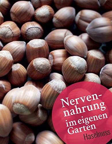 Haselnuss Katalonski/Luisenszeller Nuss, Busch im 4 Liter Topf, großfrüchtig, Höhe 50-80 cm von Kühr Baum- u. Rosenschulen