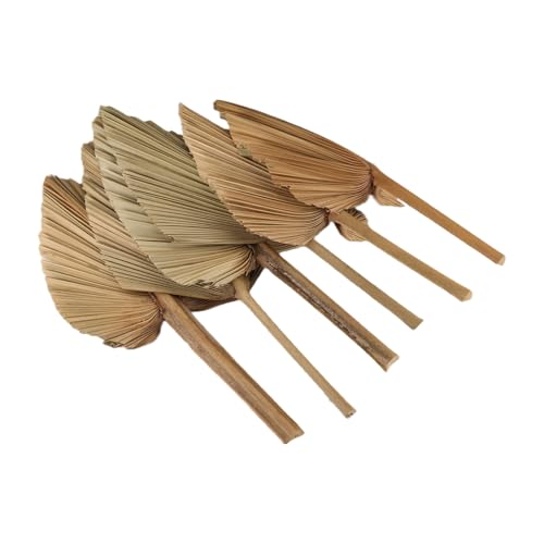Kueohse 6 Stück Getrocknete Palmblätter, Natürliche Getrocknete Palmfächer, Großer Palmenspeer für Boho-Hochzeitsdekor, Tropische Palmblätter-Dekoration, S von Kueohse