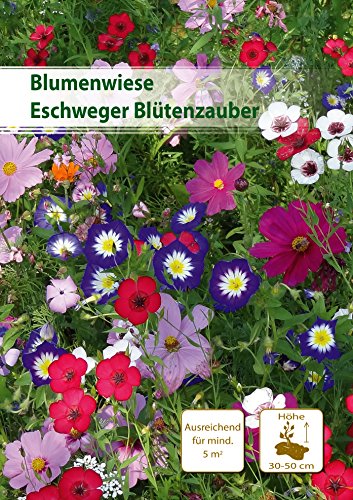 Küpper 398685 Eschweger Blütenzauber 5 m² (Blumenmischung) von Küpper Blumenmischungen