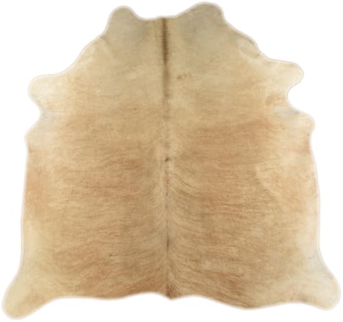 KUHFELL RINDERFELL Hellbraun BEIGE EXOTISCH 200 x 190 cm STIERFELL Teppich KUHFELL RINDERFELL Hellbraun BEIGE EXOTISCH 200 x 190 cm STIERFELL Teppich von Kuhfelle Online & Nomad