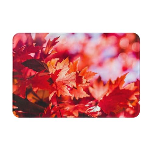 Kuilepa Fußmatte mit Herbst-Ahornblätter-Druck, für drinnen und draußen, Terrasse, rutschfeste Eingangsmatte für Zuhause, Außeneingang, Hof, Boden, Terrasse, 60 x 40 cm Kuilepa Fußmatte mit Herbst-Ahornblätter-Druck, für drinnen und draußen, Terrasse, rutschfeste Eingangsmatte für Zuhause, Außeneingang, Hof, Boden, Terrasse, 60 x 40 cm von Kuilepa