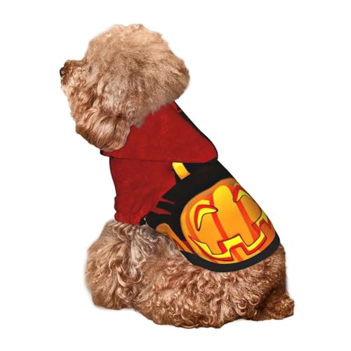 Kuilepa Hunde-Kapuzenpullover mit Halloween-Kürbis-Aufdruck, Sicherheits-Hundekleidung, Hunde-Kapuzenpullover für kleine, mittelgroße und große Hunde (Größe XS-XXL) von Kuilepa