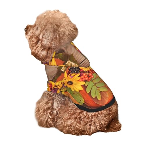 Kuilepa Hunde-Kapuzenpullover mit Herbststrauß, Kürbis für Thanksgiving, Sicherheits-Hundepullover, Hundekleidung, Hunde-Kapuzenpullover für kleine, mittelgroße und große Hunde (Größe XS-XXL) von Kuilepa