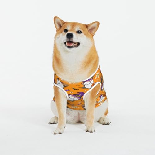 Kuilepa Hundepullover mit Halloween-Hexenzwerg-Aufdruck, für kaltes Wetter, Hunde-Sweatshirt, Hundejacke für drinnen und draußen Kuilepa Hundepullover mit Halloween-Hexenzwerg-Aufdruck, für kaltes Wetter, Hunde-Sweatshirt, Hundejacke für drinnen und draußen von Kuilepa