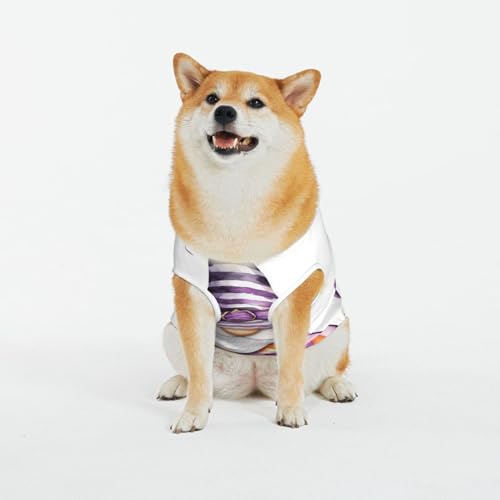 Kuilepa Hundepullover mit Halloween-Zwerg mit Kürbis-Aufdruck, für kaltes Wetter, Hunde-Sweatshirt, Hundejacke für drinnen und draußen Kuilepa Hundepullover mit Halloween-Zwerg mit Kürbis-Aufdruck, für kaltes Wetter, Hunde-Sweatshirt, Hundejacke für drinnen und draußen von Kuilepa