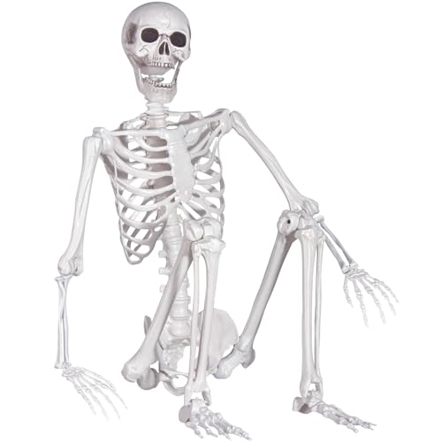 Halloween Skelett, Realistisches Lebensgroßes Skelett mit beweglichen Gelenken für Halloween Party Spukhaus Indoor Outdoor Dekoration (1.6m-1P) von Kukooka