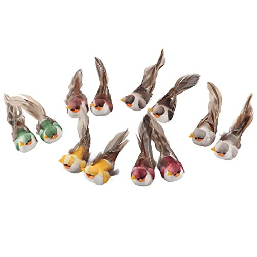 Kukyller 12pcs künstliche Schaumvögel Clips, gefälschte Vögel Simulation Schaum Vogel Vogeldekor mit Clip for Craft Garden Home Ornament Dekoration Kukyller 12pcs künstliche Schaumvögel Clips, gefälschte Vögel Simulation Schaum Vogel Vogeldekor mit Clip for Craft Garden Home Ornament Dekoration von Kukyller