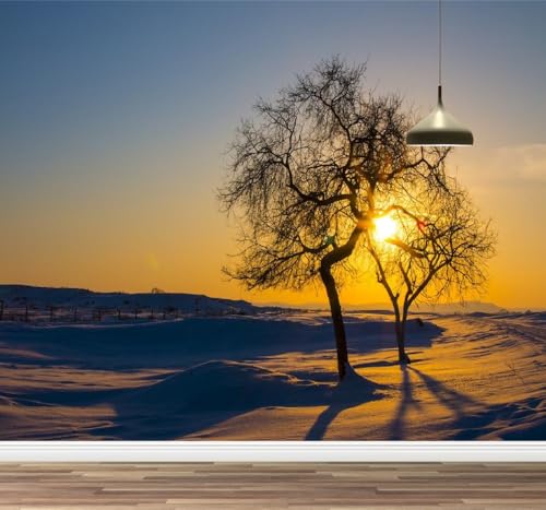 Kuletkear Wandbild Abnehmbare Baum Sonnenuntergang Landschaft Selbstklebende Tapete Natur Wasserdichte Posterpapier-Wanddekoration für Schlafzimmer, Wohnzimmer 450x320cm Kuletkear Wandbild Abnehmbare Baum Sonnenuntergang Landschaft Selbstklebende Tapete Natur Wasserdichte Posterpapier-Wanddekoration für Schlafzimmer, Wohnzimmer 450x320cm von Kuletkear