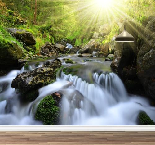 Kuletkear Wandbild Fluss Natur Wandaufkleber zum Aufkleben und Abziehen Waldsonnenschein Posterpapier Wandaufkleber für Mädchen Kinderzimmer Wohndeko Geschenk 400x280cm Kuletkear Wandbild Fluss Natur Wandaufkleber zum Aufkleben und Abziehen Waldsonnenschein Posterpapier Wandaufkleber für Mädchen Kinderzimmer Wohndeko Geschenk 400x280cm von Kuletkear