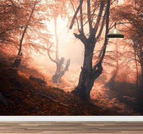 Wald Bäume Herbst Foto 3D Poster Tapete Nebel abziehbar Wandbild Kunstdekor Kinderzimmer Wandaufkleber Mädchenzimmer Teenager Schlafzimmer Wohnzimmer Wandaufkleber Kinderzimmer 300x208cm Wald Bäume Herbst Foto 3D Poster Tapete Nebel abziehbar Wandbild Kunstdekor Kinderzimmer Wandaufkleber Mädchenzimmer Teenager Schlafzimmer Wohnzimmer Wandaufkleber Kinderzimmer 300x208cm von Kuletkear