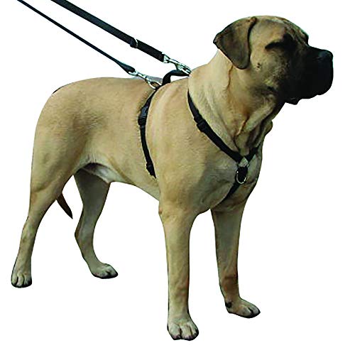 Kumfi Canine Kumfi Complete Control Harness Gr. XL von Kumfi Canine