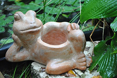 Kunert-Keramik Frosch,liegend,bepflanzbar,Terracotta,30cm von Kunert-Keramik