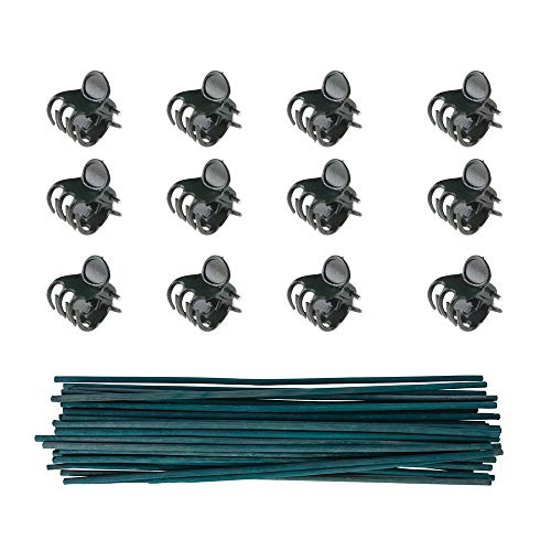Kungfu Mall 50 PCS Plant Support Sticks 12 Zoll Bamboo Flower Sticks mit 100 PCS Plant Support Clips Garten Clips Blume Orchidee Stem Clips von Kungfu Mall