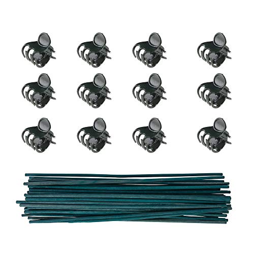 KungFu Mall 50 Stück Pflanzenstützstäbe 12 Zoll Bambus Blumenstäbe Mit 100 Pflanzenstützclips Garten Blumen Orchideen Stem Clips von Kungfu Mall
