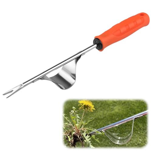 Unkrautstecher Edelstahl, LöWenzahn Entferner Mit Stiel, UnkrautjäTer Mit Kunststoff Rasenrakel, Unkraut Entferner GeräT füR Den Garten, JäTen, LöSen von Kunoli