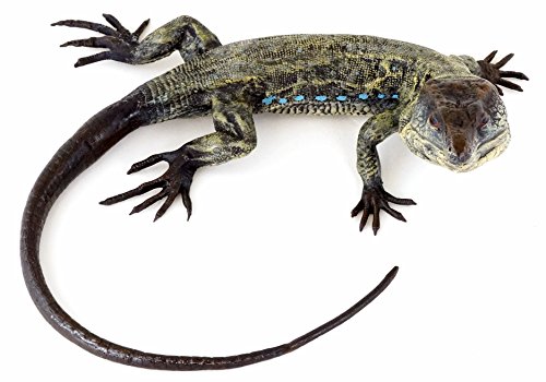 Kunst & Ambiente - Wiener Bronze Figur - Echse - Leguan - Reptil - authentische Tierstatue - Handbemalt - Deko Skulptur - Kunst online kaufen - Sammlerstück - Wohndeko für Innen von Kunst & Ambiente