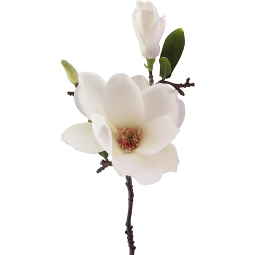 EK SERVIVEGROUP Magnolie weiß, 37cm 4003529762028 von Kunstblumen