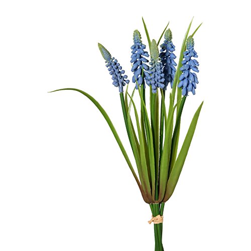 FVLFIL Kunstblumen MUSCARI Bund 30 cm. Bund mit 5 Traubenhyazinthen. BLAU -90 FVLFIL Kunstblumen MUSCARI Bund 30 cm. Bund mit 5 Traubenhyazinthen. BLAU -90 von Kunstblumen