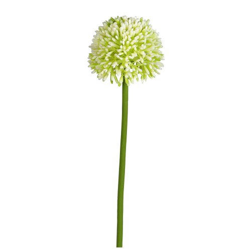 Kunstblume 1 Stück Allium 44 cm WEISS-40 von Kunstblumen