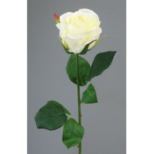Kunstblumen 6 Rosen Wasserstiel 47,5cm. Weiss -40 von Kunstblumen