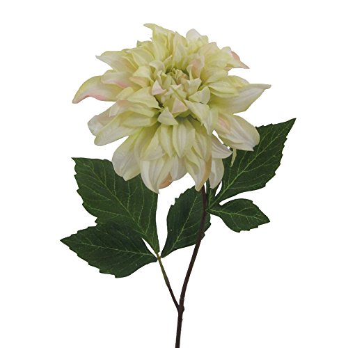 Kunstblumen DAHLIE, 63 cm. Dahlientrieb mit Einer Blüte in GRÜN-Creme -65 von Kunstblumen