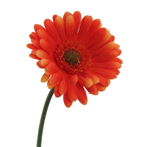 Kunstblumen Gerbera 50cm. ORANGE -70 Kunstblumen Gerbera 50cm. ORANGE -70 von Kunstblumen