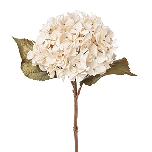 Kunstblumen Hortensie 46 cm. Textilblume in Trockenblumenoptik. Creme BEIGE von Kunstblumen