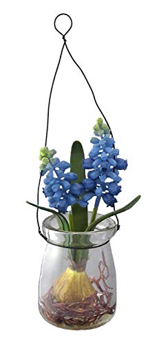 Kunstblumen MUSCARI im HÄNGEGLAS. Ca 15 cm. Traubenhyazinthe im RUNDEN Glas. BLAU -90 von Kunstblumen