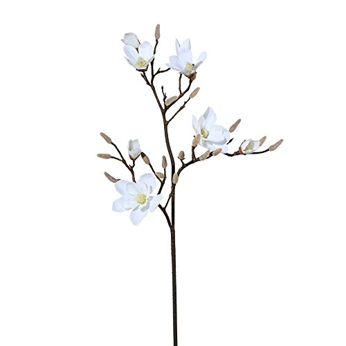 Kunstblumen Magnolie 111 cm. Mit 8 Magnolienblüten und Knospen. Weiss -40 von Kunstblumen