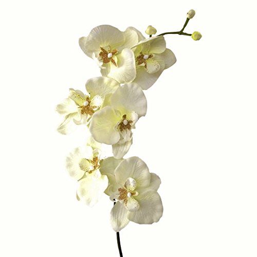 Kunstblumen Orchideenzweig 78cm. Farbe weiß CREME-48 Kunstblumen Orchideenzweig 78cm. Farbe weiß CREME-48 von Kunstblumen