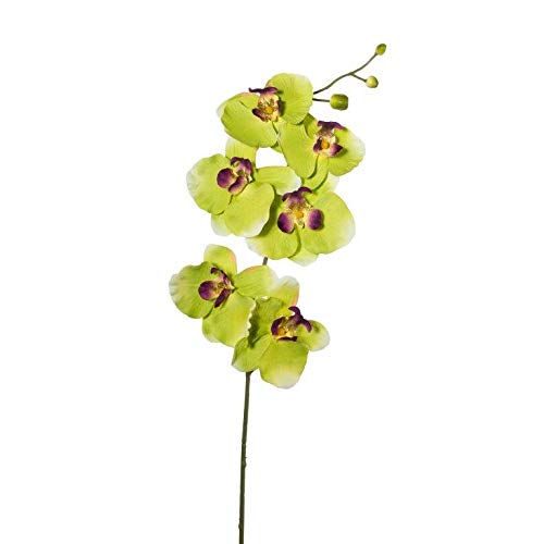 Kunstblumen PHALENOPSIS, ORCHIDEENZWEIG 76 cm. Farbe hellgrün GRÜN 1017101-50 von Kunstblumen