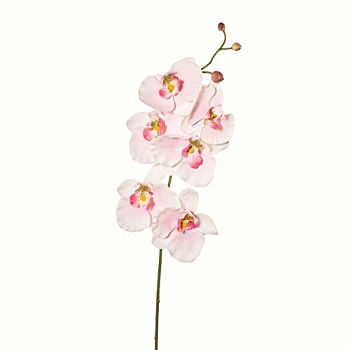 Kunstblumen PHALENOPSIS, ORCHIDEENZWEIG 76 cm. Farbe weiß pink ROSA 1017101-10 Kunstblumen PHALENOPSIS, ORCHIDEENZWEIG 76 cm. Farbe weiß pink ROSA 1017101-10 von Kunstblumen