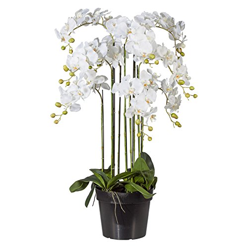 Kunstblumen PHALENOPSIS ca 110 cm weiß, Weiss (Orchidee) im schwarzen Kunststofftopf 27,5 cm. von Kunstblumen