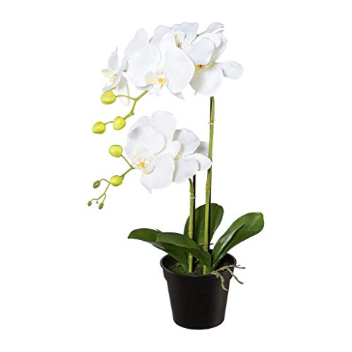 Kunstblumen PHALENOPSIS ca 55 cm weiß, Weiss (Orchidee) im schwarzen Kunststofftopf 13 cm. Art.: 1017053-40 von Kunstblumen