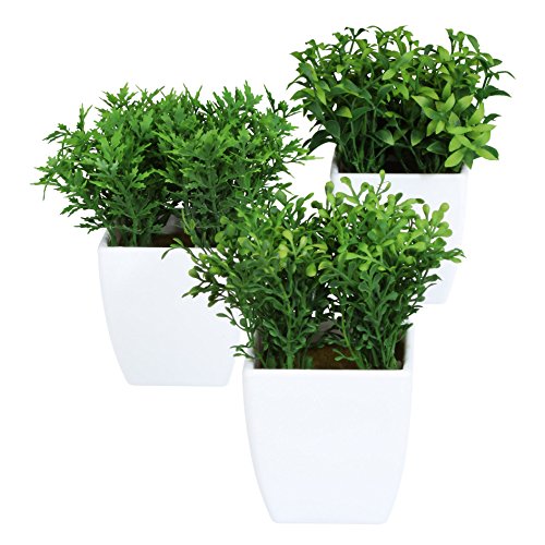 Mini-Box, Gras 3 St, 13 cm, im Kunststofftopf weiß. Kunstgras, Dekogras getopft. von Kunstblumen