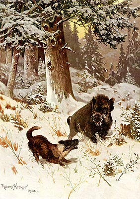 Kunstdruck Jagdbild Keiler vom Saufinder Verbellt Winter Wildschwein Faksimile 530 von Kunstdruck
