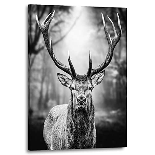 Kunstgestalten24 Leinwandbild Tier Wandbild Hirsch Forest Black and White Kunstdruck Raum- u. Wanddekoration Übergrößen von Kunstgestalten24