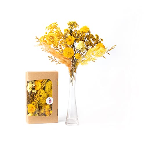 Kunstharz.Art Echte & natürliche getrocknete Blumen als Geschenk zum Muttertag & Ostern, zum Basteln mit Resin oder Osterdekoration, Blüten und Trockenblumen Set, Gastgeschenk für Hochzeit (Gelb) von Kunstharz.Art