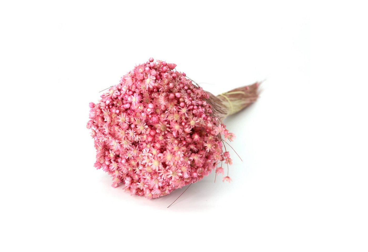Trockenblume Blumenstrauß Marcela Getrocknet - Pink, Kunstharz.Art von Kunstharz.Art