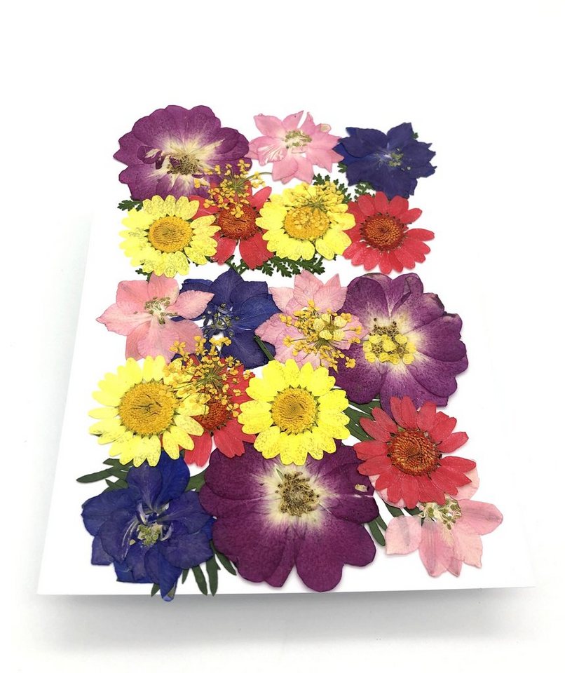 Trockenblume Gepresste Blumen und Blüten in vielen Farben - Mix, Kunstharz.Art von Kunstharz.Art