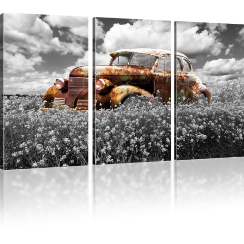 KL KUNSTLAB Rostiger Oldtimer Bild auf Leinwand Auto Leinwandbild Wiese Wandbild - 165x100 cm 3-Teilig: Schwarz-Weiss von KL KUNSTLAB
