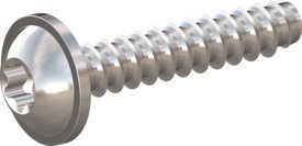 10 Stück Schraube STS-plus KN6038 6x30 - T30 A2-1.4567 blank-gebeizt und passiviert von Kunststoffschraube.de
