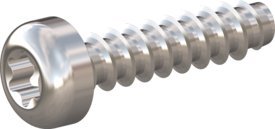 10 Stück Schraube STS-plus KN6039 3x12 - T10 A2-1.4567 blank-gebeizt und passiviert von Kunststoffschraube.de