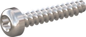 10 Stück Schraube STS-plus KN6039 3x15 - T10 A2-1.4567 blank-gebeizt und passiviert von Kunststoffschraube.de