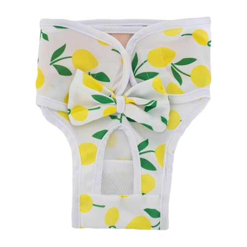 Kuntesetty Als Wiederverwendbare Läufigkeitshosen Und Waschbare Welpenwindeln Modische Schutzhosen Aus Polyester Wasserdicht für Untrainierte Tiere, XL von Kuntesetty