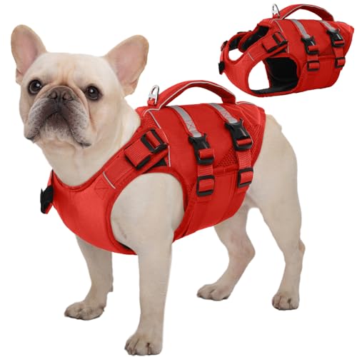 Kuoser Schwimmweste Hund Klein, Rettungswesten für Hunde Schwimmweste mit Griff und Reflektierend, Verstellbar Hundeschwimmweste, Schwimmweste für Kleine Hunde mit Verbesserter Auftrieb, Rot S Kuoser Schwimmweste Hund Klein, Rettungswesten für Hunde Schwimmweste mit Griff und Reflektierend, Verstellbar Hundeschwimmweste, Schwimmweste für Kleine Hunde mit Verbesserter Auftrieb, Rot S von Kuoser