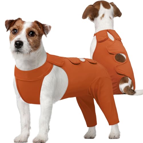 Kuoser Hundebody Nach Op, Hundebody Nach op Body für Hund Kastration Rüde Hündin, Erholungsanzug Hund, Hundeschenkel Schutz Bodysuit, Anti-Wundlecken Op Body Hunde, Hund Halskrause Alternative,Braun M Kuoser Hundebody Nach Op, Hundebody Nach op Body für Hund Kastration Rüde Hündin, Erholungsanzug Hund, Hundeschenkel Schutz Bodysuit, Anti-Wundlecken Op Body Hunde, Hund Halskrause Alternative,Braun M von Kuoser