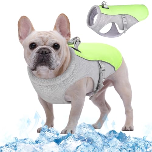 Kuoser Kühlweste für Hunde, Hundekühlungsmantel für heiße Sommertage, Atmungsaktive & Reflektierende Sicherheitsweste für Klein Mittel Hunde, Kühljacke für Aktivitäten Draußen Wandern Training Kuoser Kühlweste für Hunde, Hundekühlungsmantel für heiße Sommertage, Atmungsaktive & Reflektierende Sicherheitsweste für Klein Mittel Hunde, Kühljacke für Aktivitäten Draußen Wandern Training von Kuoser