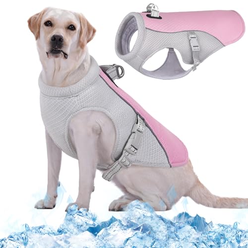 Kuoser Kühlweste für Hunde, Hundekühlungsmantel für heiße Sommertage, Atmungsaktive & Reflektierende Sicherheitsweste für Klein Mittel Hunde, Kühljacke für Aktivitäten Draußen Wandern Training Kuoser Kühlweste für Hunde, Hundekühlungsmantel für heiße Sommertage, Atmungsaktive & Reflektierende Sicherheitsweste für Klein Mittel Hunde, Kühljacke für Aktivitäten Draußen Wandern Training von Kuoser